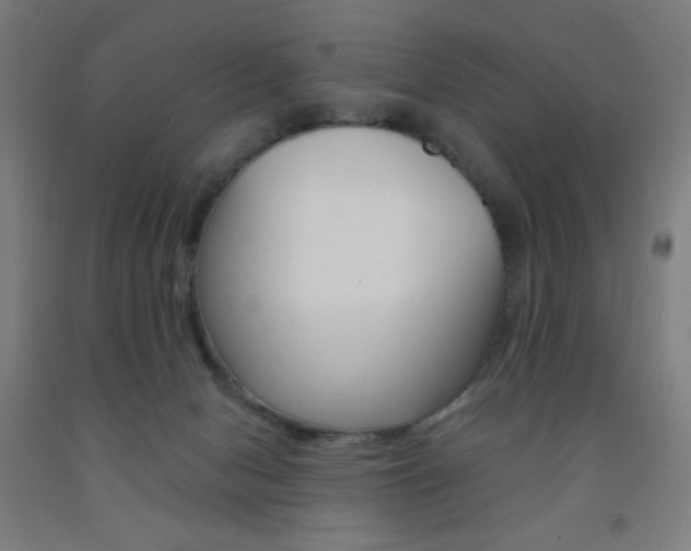 X0000093130078200709261045