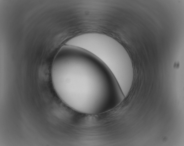 X0000093130080200709261045