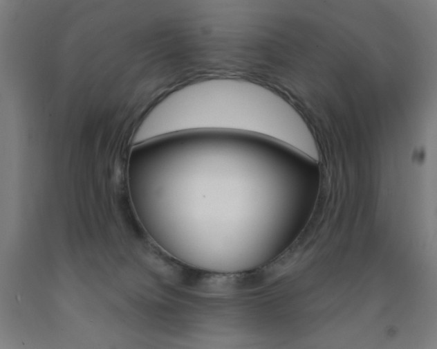 X0000093130084200709261045