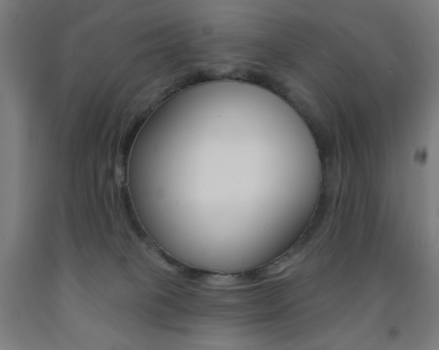 X0000093130085200709261045