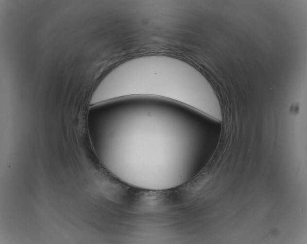 X0000093130088200709261045