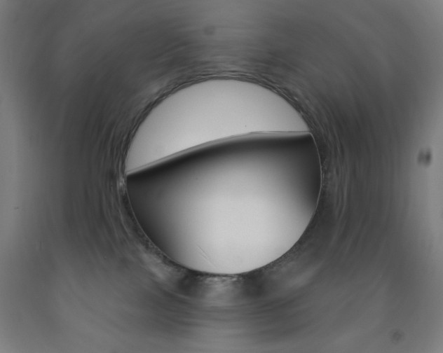 X0000093130089200709261045