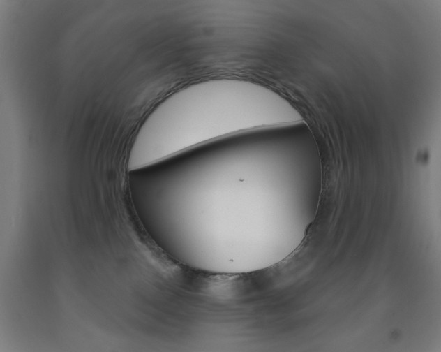 X0000093130090200709261045