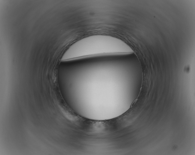 X0000093130091200709261045