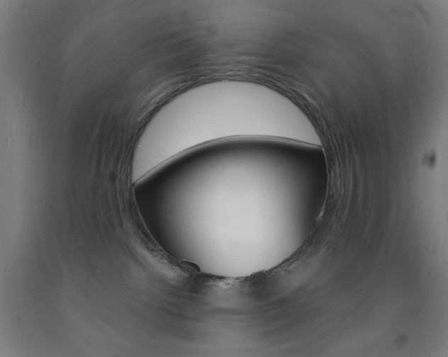 X0000093130092200709261045
