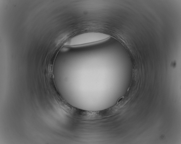 X0000093130093200709261045