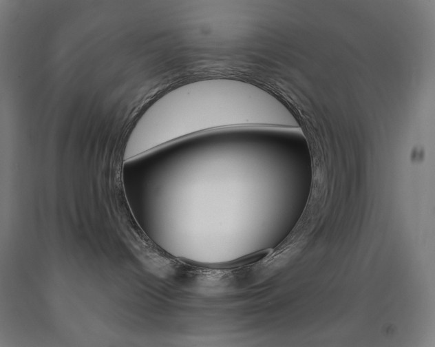 X0000093130096200709261045