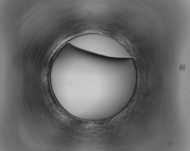X0000093130098200709261045