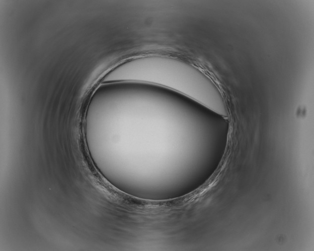 X0000093130101200709261045