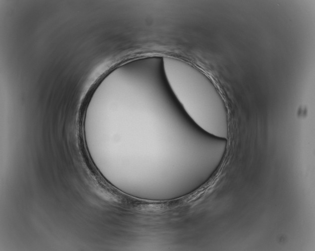 X0000093130102200709261044