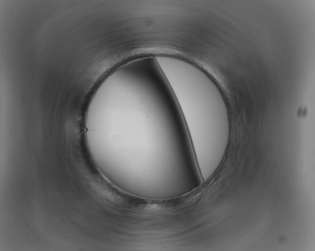 X0000093130111200709261044