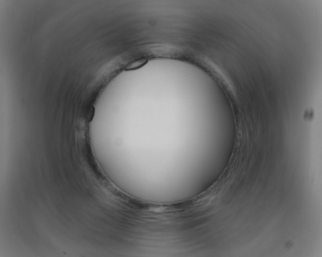 X0000093130117200709261044