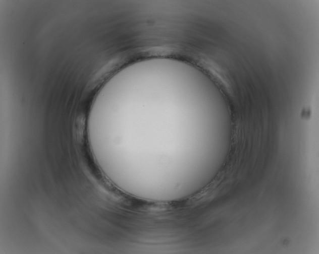 X0000093130118200709261044