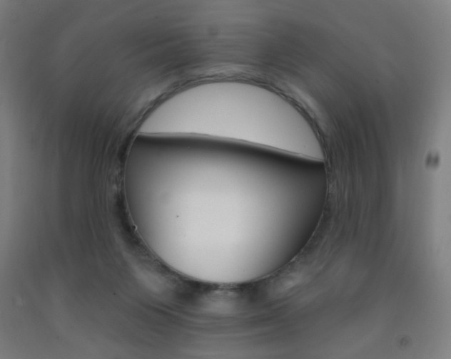 X0000093130119200709261044