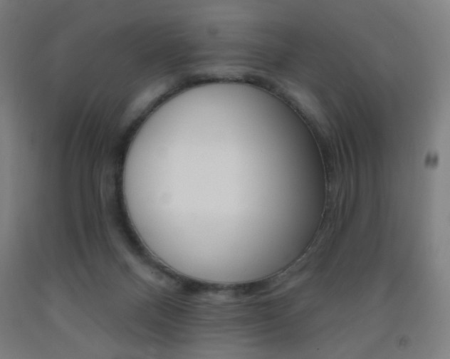 X0000093130120200709261044