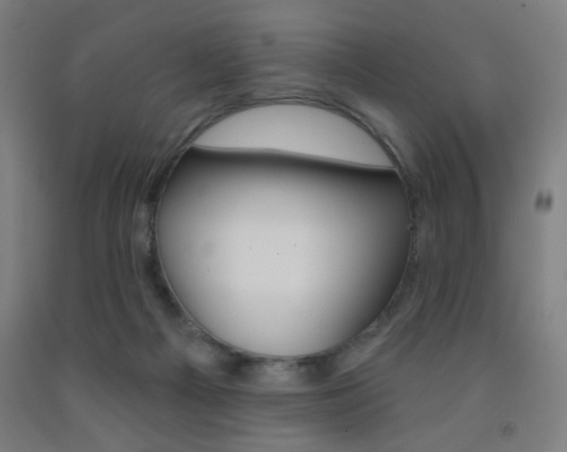 X0000093130121200709261044