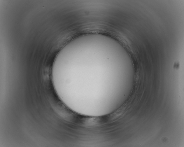 X0000093130122200709261044