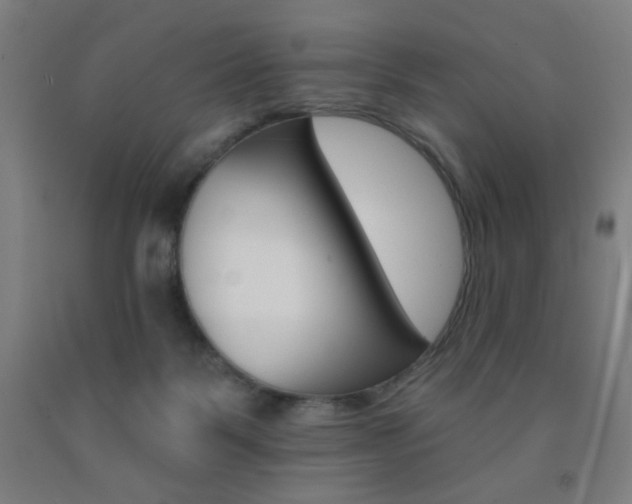 X0000093130123200709261044