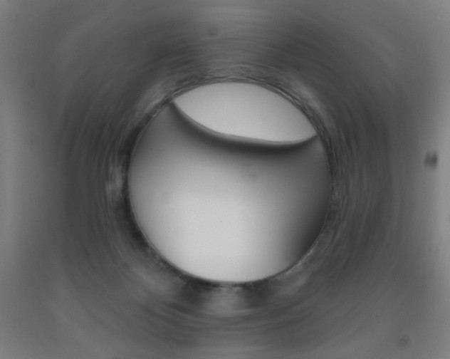 X0000093130124200709261044