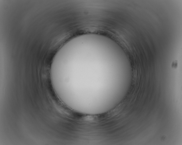 X0000093130126200709261044