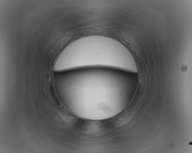 X0000093130127200709261044