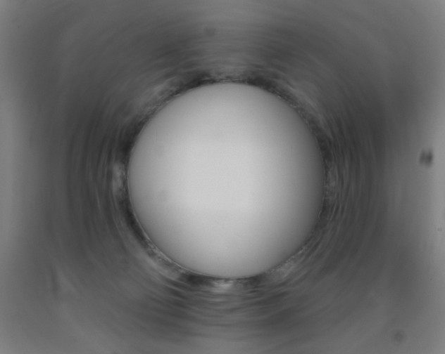 X0000093130130200709261044