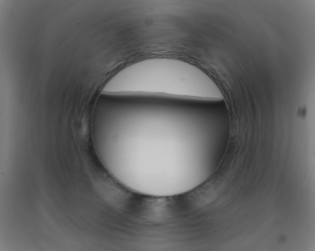 X0000093130131200709261044
