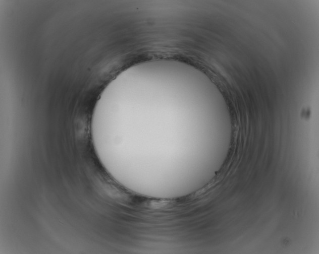 X0000093130134200709261044