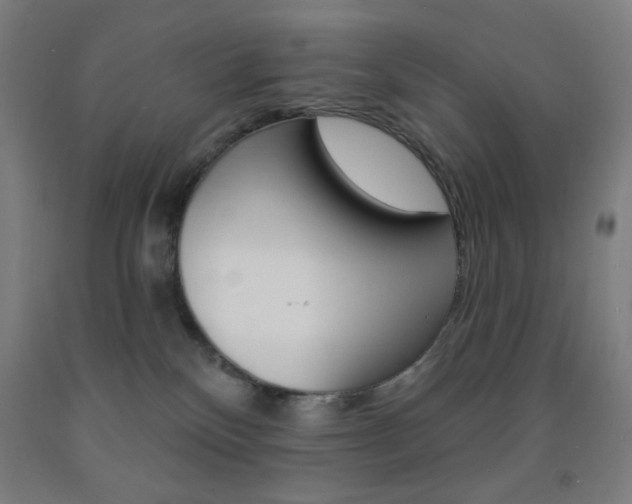 X0000093130136200709261044