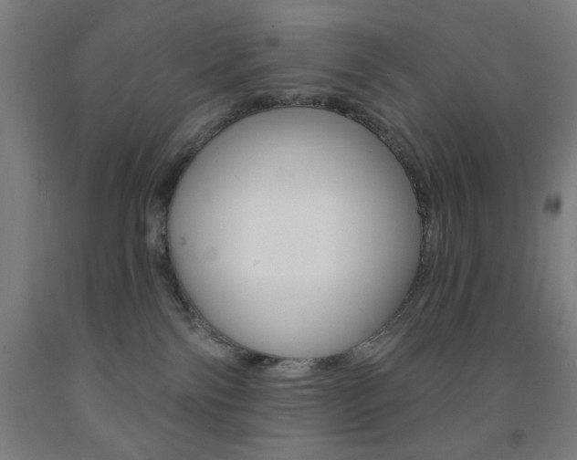 X0000093130138200709261044