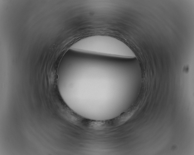 X0000093130139200709261044