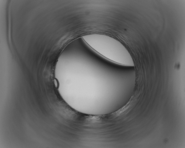 X0000093130140200709261044