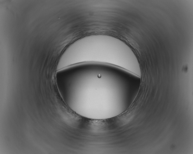 X0000093130141200709261044