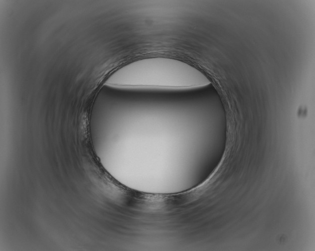 X0000093130144200709261044
