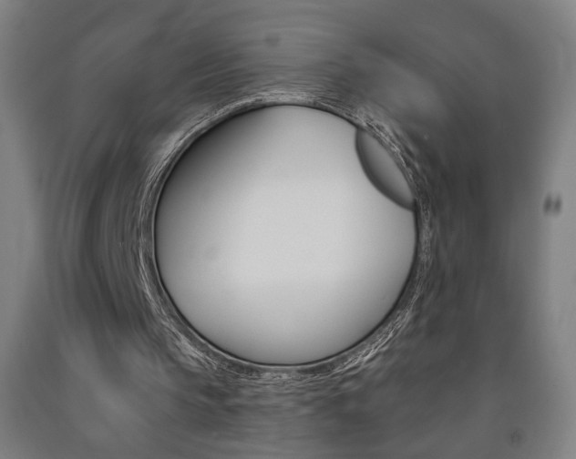 X0000093130145200709261043