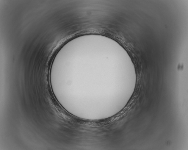 X0000093130146200709261043