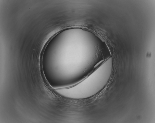 X0000093130148200709261043