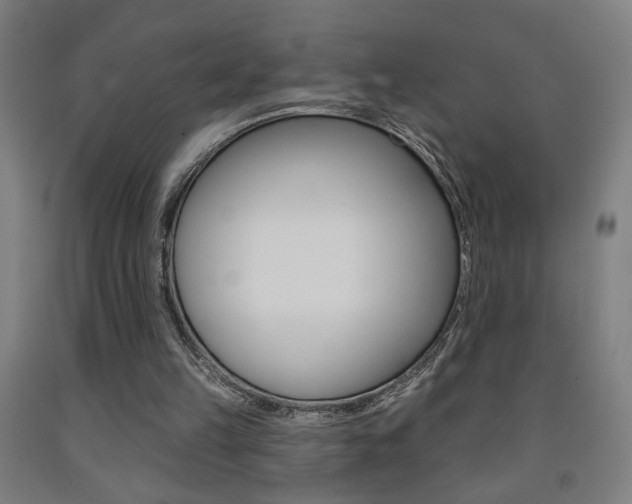 X0000093130149200709261043
