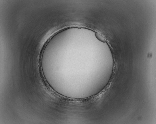 X0000093130151200709261043