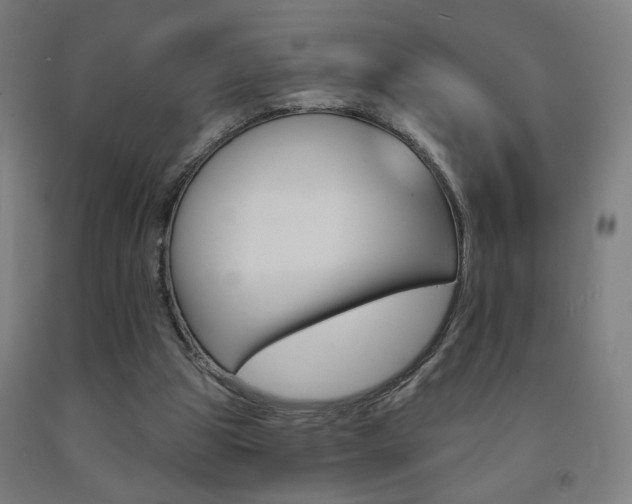X0000093130153200709261043