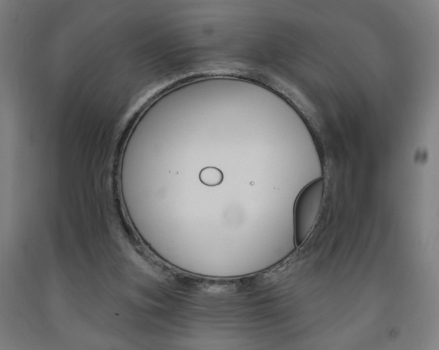 X0000093130155200709261043