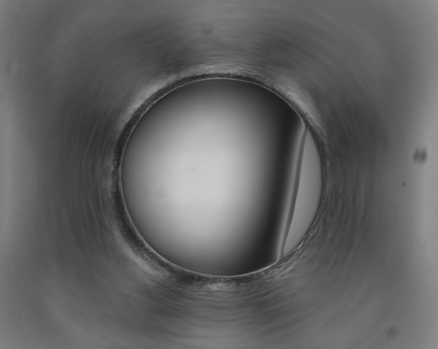 X0000093130156200709261043