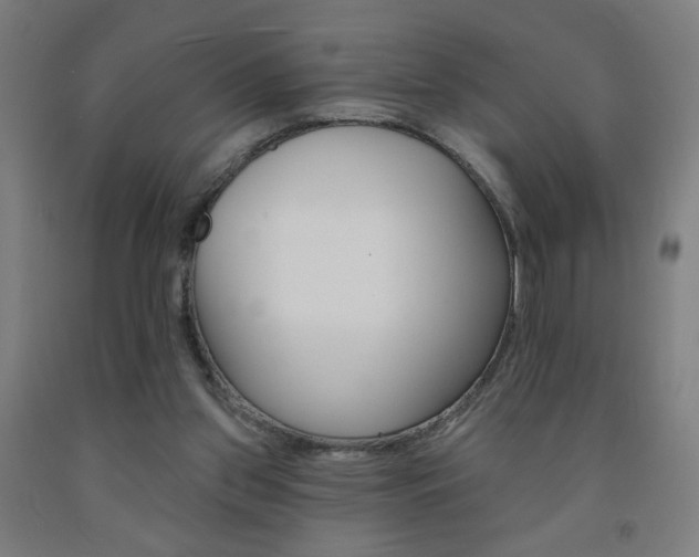 X0000093130157200709261043