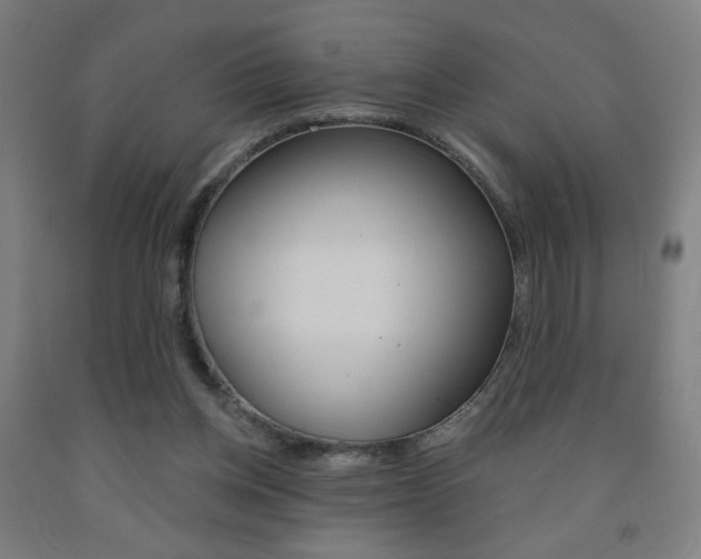 X0000093130158200709261043