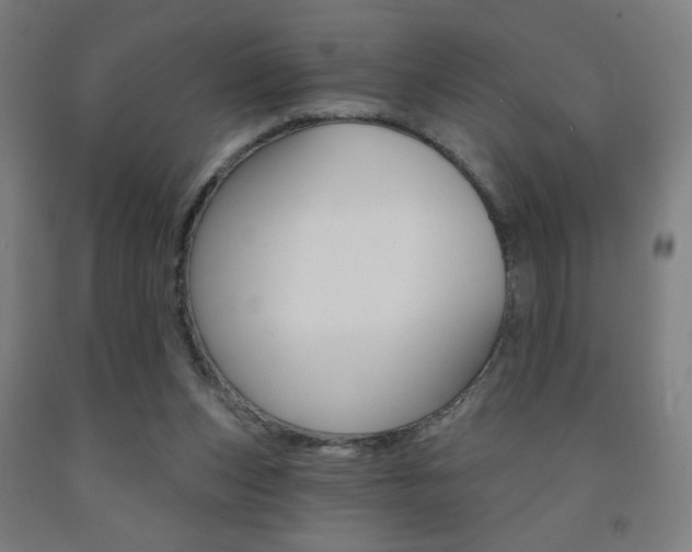 X0000093130159200709261043