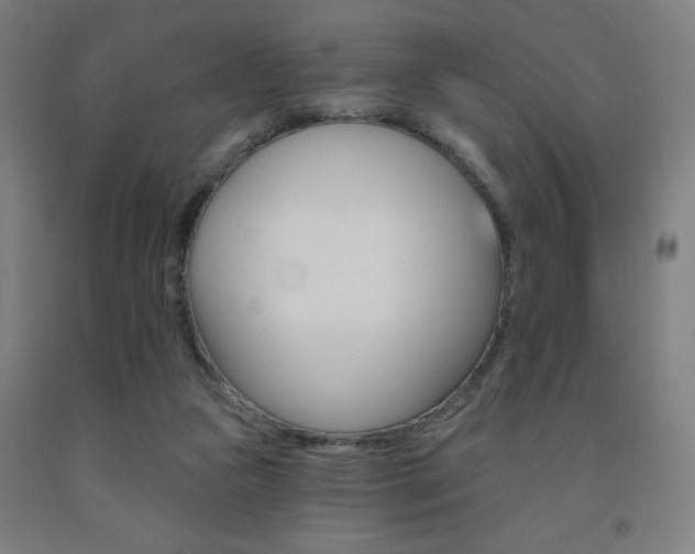 X0000093130161200709261043
