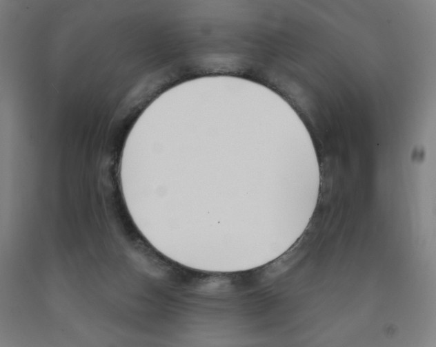 X0000093130162200709261043