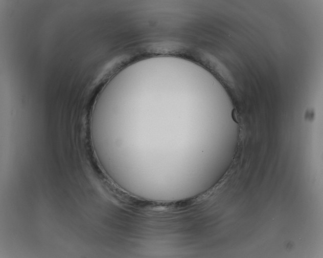 X0000093130163200709261043