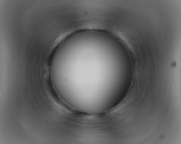 X0000093130164200709261043