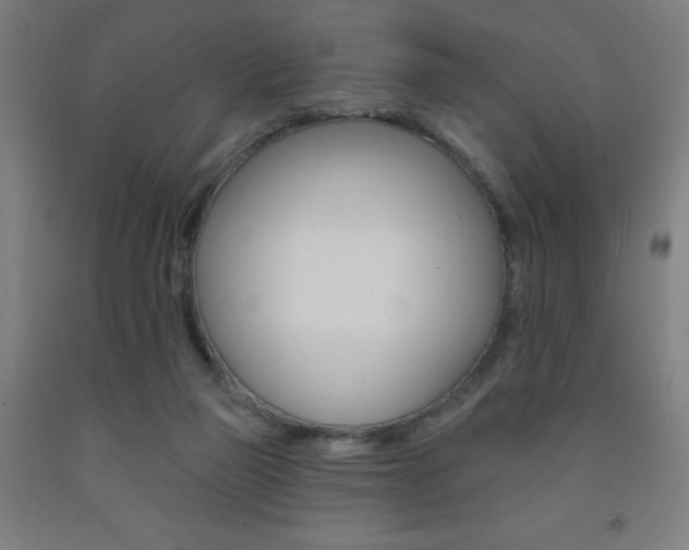X0000093130165200709261043